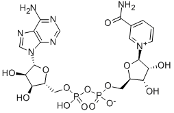 β-Nicotinamide adenin dinukleotida