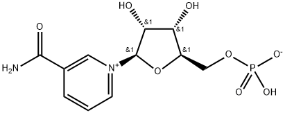 β-Nicotinamide Mononukleotida