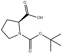 Dewan Komisaris-L-Prolin