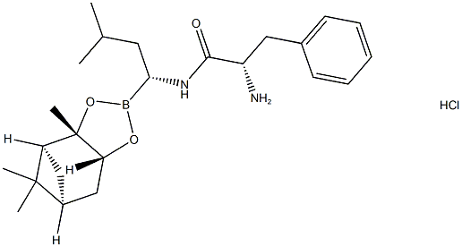 Bortezomib perantara II