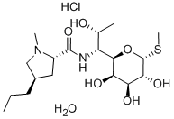 Lincomycin hidroklorida monohidrat