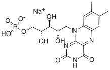Garam Natrium Riboflavin 5'-Monofosfat